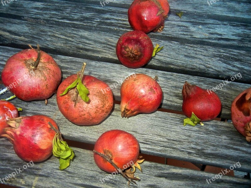 Pomegranate Wood Fruit Healthy Delicious