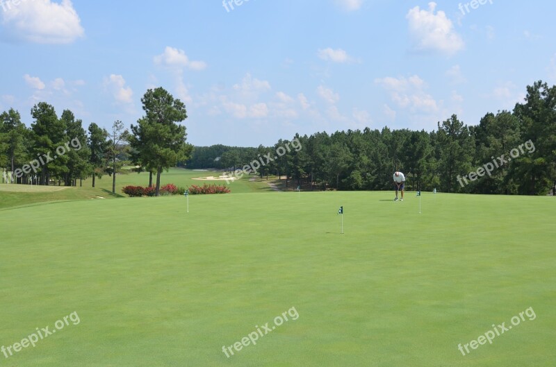 Golf Course Putting Green Golfer