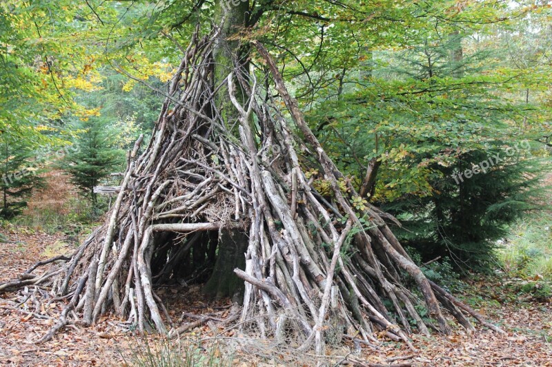 New Forest Shelter Country Nature Wooden