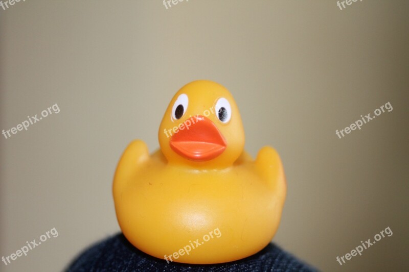 Duck Bath Bathroom Rubber Cute