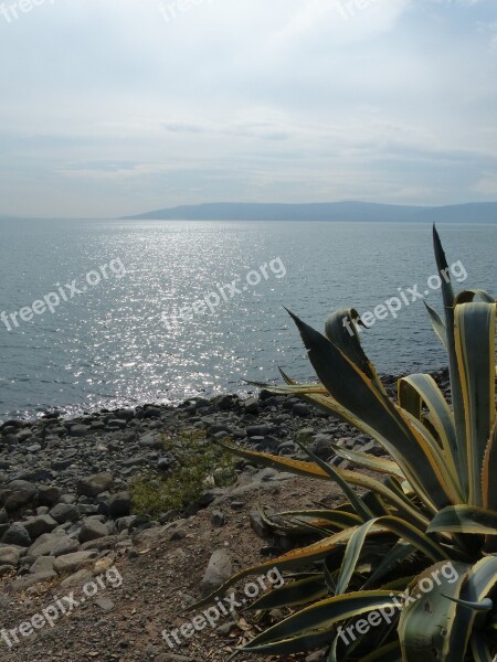 Israel Sea Of Galilee Mood Water Free Photos