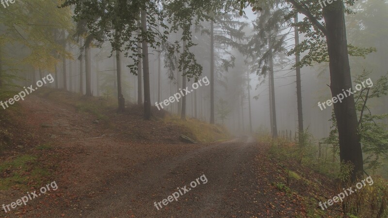 The Fog Krkonoše Giant Mountains Mountains Szklarska Poręba Hiking Trails