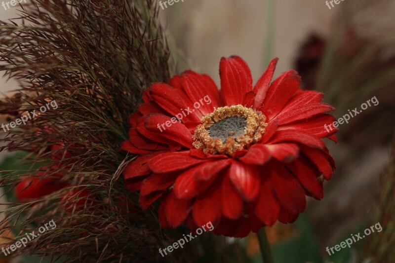 Flower Artificial Flowers Still Life Bouquet Gerberas