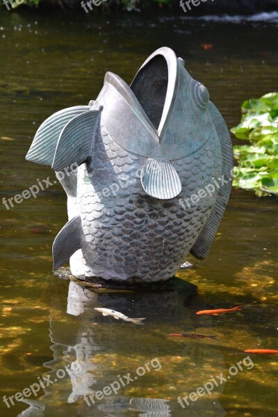 Fish Pond Biotope Nature Free Photos