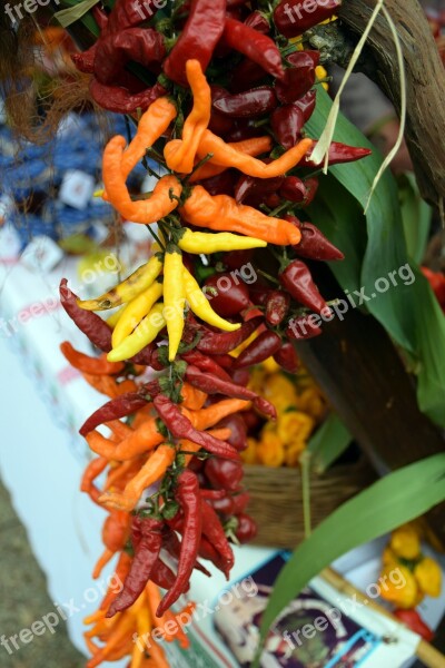 Hot Peppers Yellow Red Orange Food