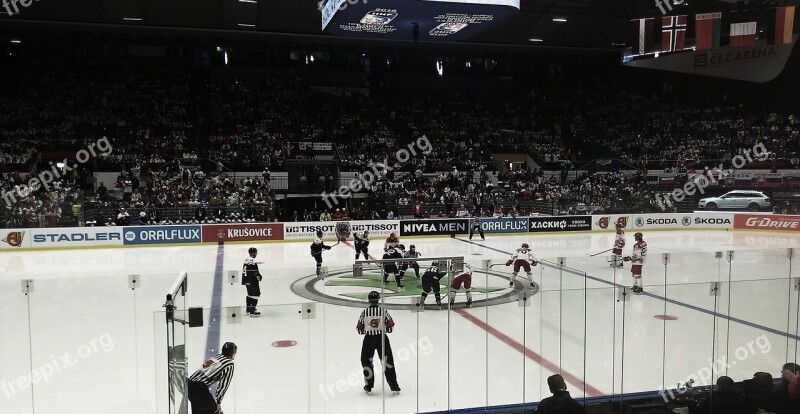 Hockey Ice Skates Ice Hockey Ice Skating