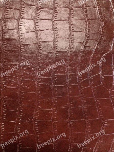 Skin Snake Skin Texture Background Leatherette