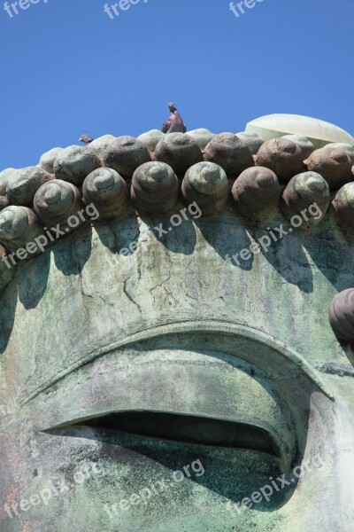 Great Buddha Doves On The Head Statue Japan Kōtoku-in Temple