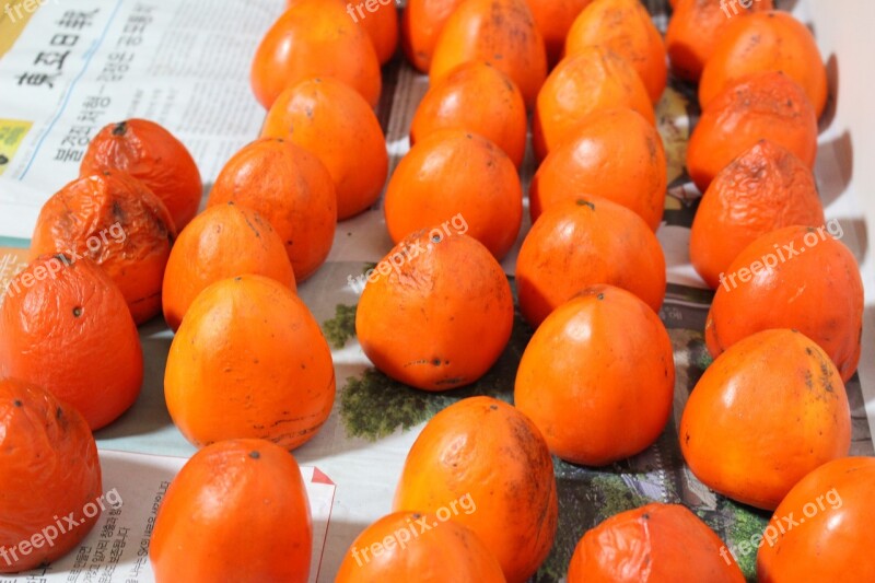 Korea Persimmon Fruit Harvest Free Photos