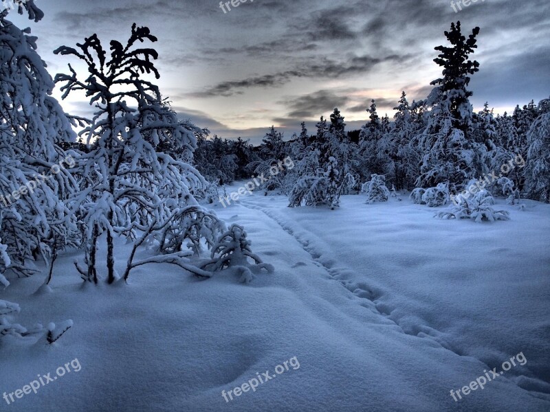 Winter Snow Path Gallivare Myr