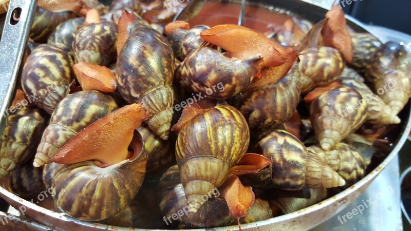 Slug Roasted Slug Chinese Food Street Food Free Photos