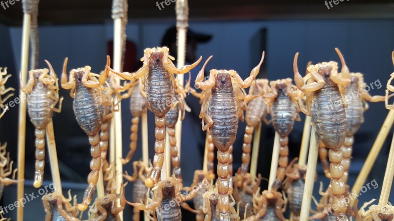 Scorpions Food Chinese Food Chinese Cuisine Free Photos