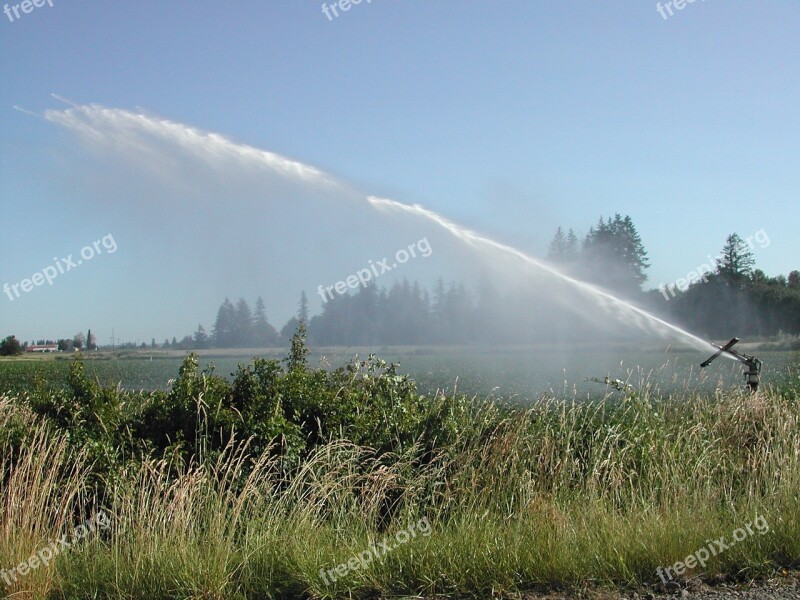 Rainmaker Sprinkler Farming Grass Mint