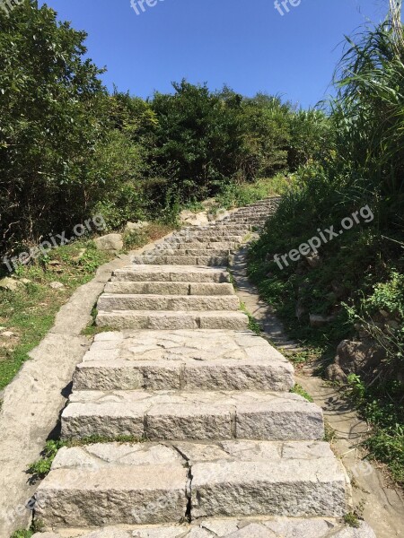 Flagging Mountain Tree Zhoushan Free Photos