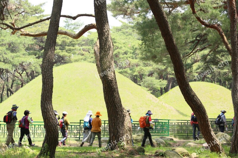 Tourist Hiking Pine Racing 10000000000000000 Weeks Samreung