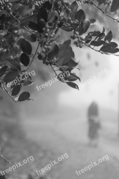 Biking Cyclist Haze Fog Mist