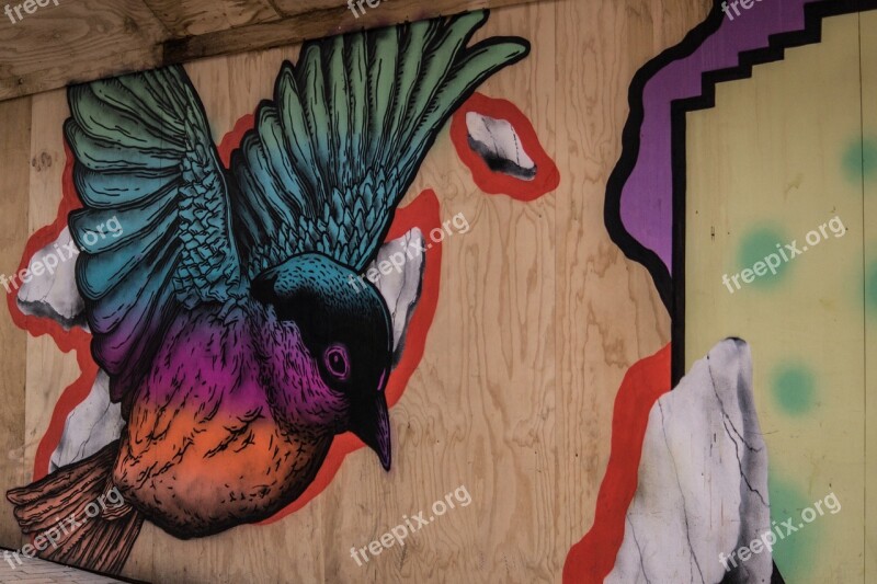 Graffiti Bird Painting Art Street Art