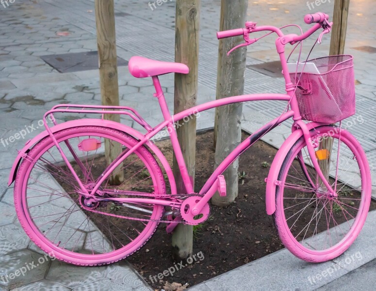 Bicycle Pink Bike Lifestyle Sport