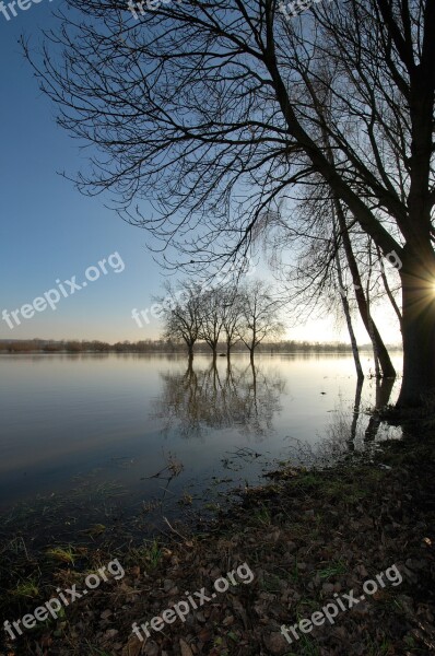 Rheingau Eltville High Water Free Photos