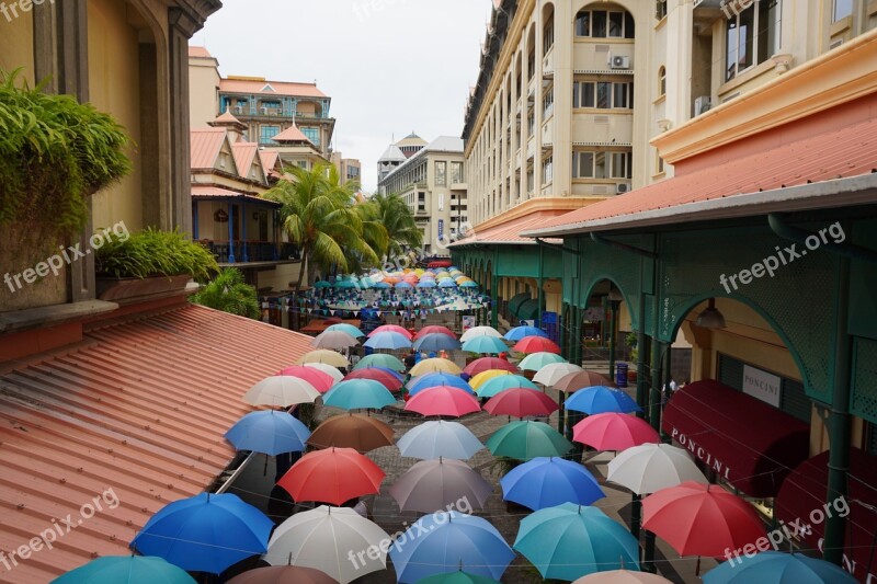 Culture Street Art Umbrella Color