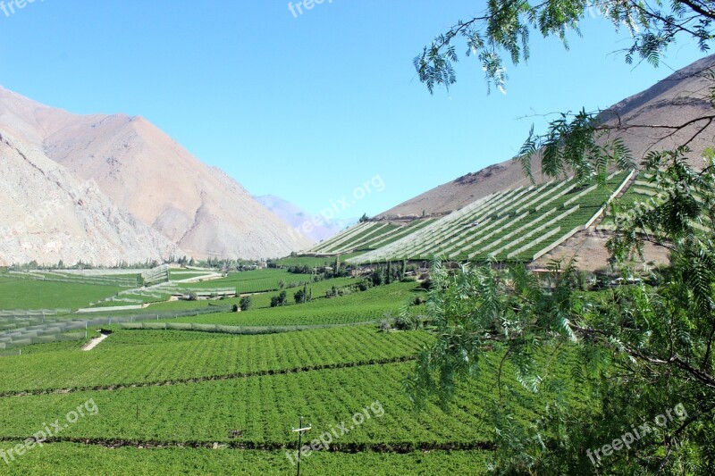 Elqui Valley Chile People Pisco Elqui