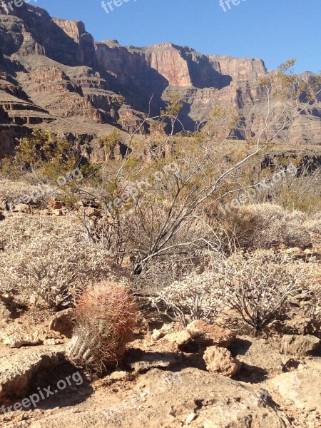 Grand Canyon Rock Grand Canyon Desert