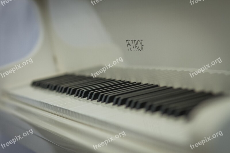 Grand Piano White Klafishi Free Photos