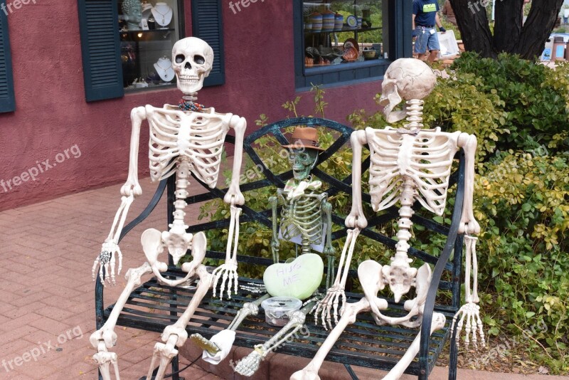 Sedna Arizona Skeleton Halloween Bench