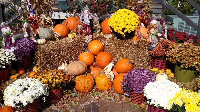 Fall Harvest Food Autumn Fresh