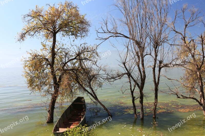 Lugu Lake Tree Boat Properties Autumn