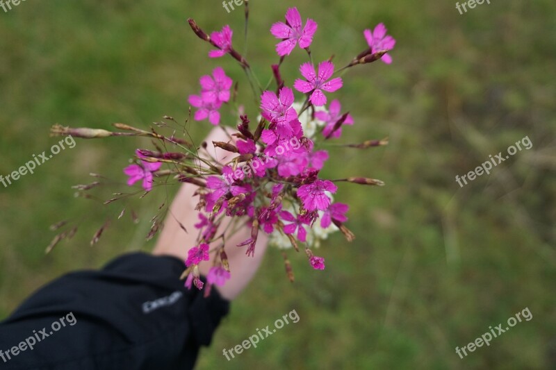 Flowers Bouquet Purple Hand Closeup