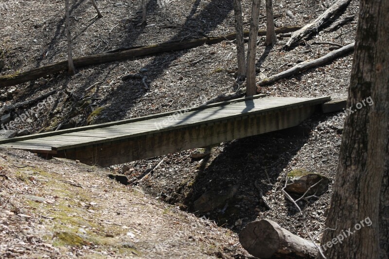 Wooden Bridge Bridge Nature Outdoor Forest