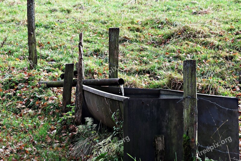 Potions Fountain Drinking Water Thirst Pasture