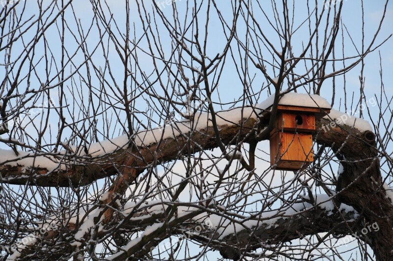 Nesting Box Winter Hatchery Bird Feeder Nesting Help