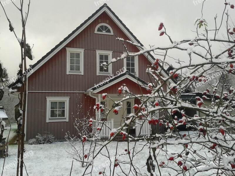 Winter House Snowy Rose Hip Free Photos