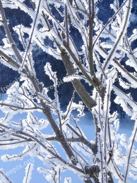 Hoarfrost Winter Frost Iced Aesthetic