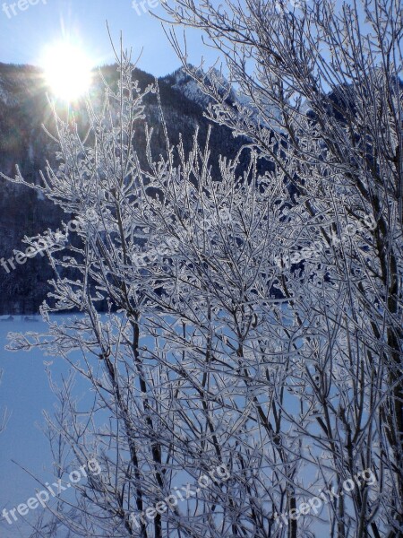 Winter Frost Snow Winter Magic Cold