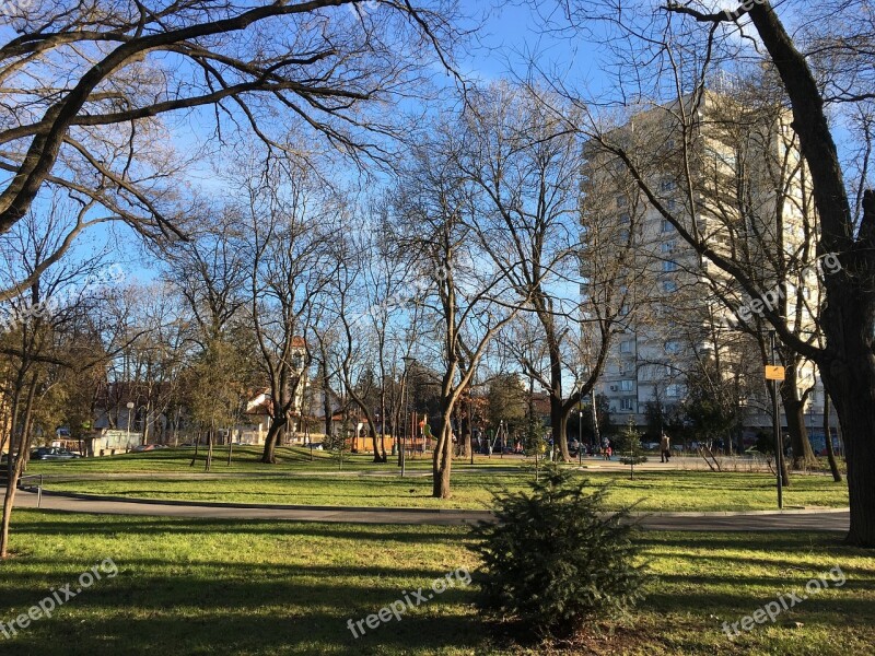 Sofia Bulgaria Center Of The City Autumn City Park