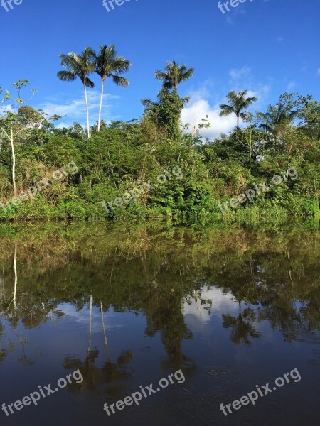 Amazon Tropics River Landscape Water