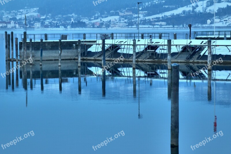 Lake Constance Bregenz Winter Port Cold Nature