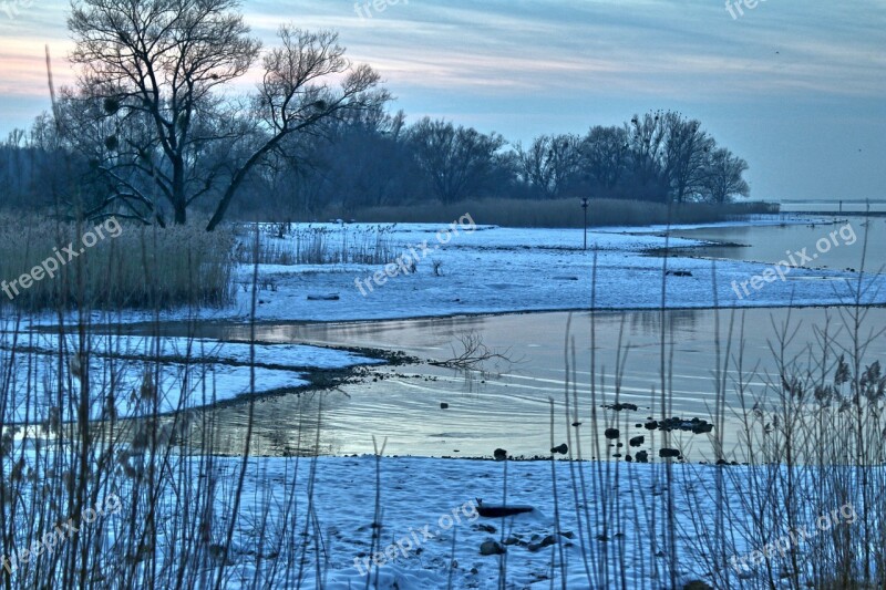 Lake Constance Bregenz Winter Port Cold Nature