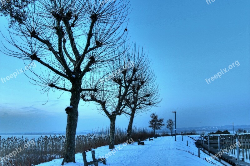 Lake Constance Bregenz Winter Port Cold Nature