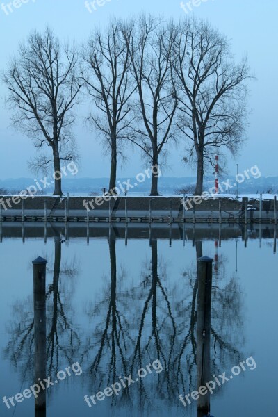 Lake Constance Bregenz Winter Port Cold Nature