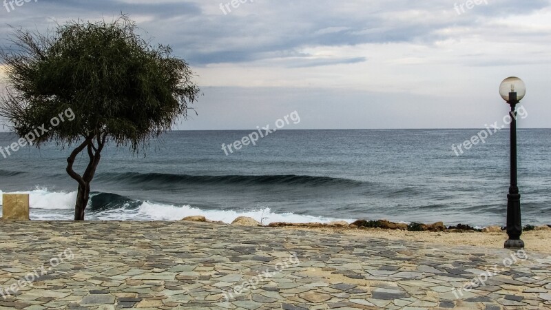 Cyprus Protaras Tree Waves Romantic