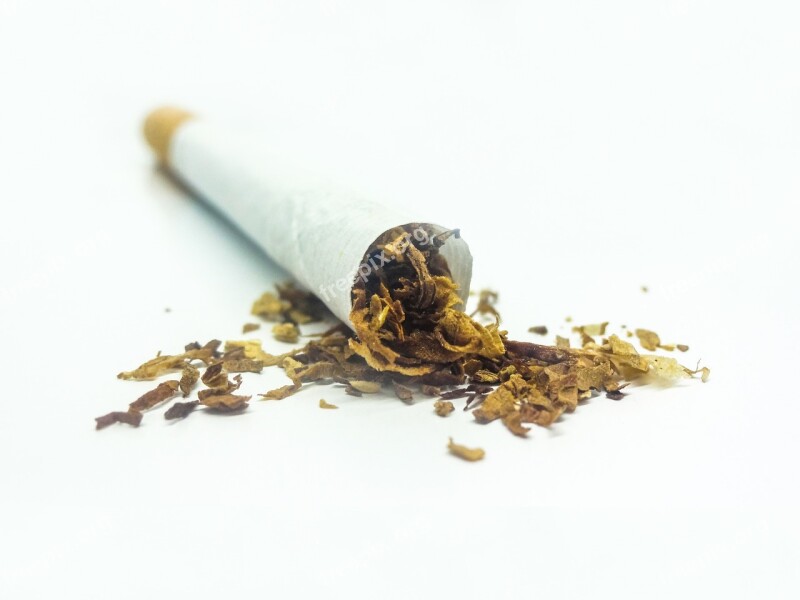 Tobacco Cigarette White Background White Smoked