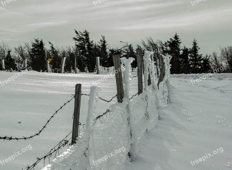 Closing Frost Ice Ice Crystals Snow