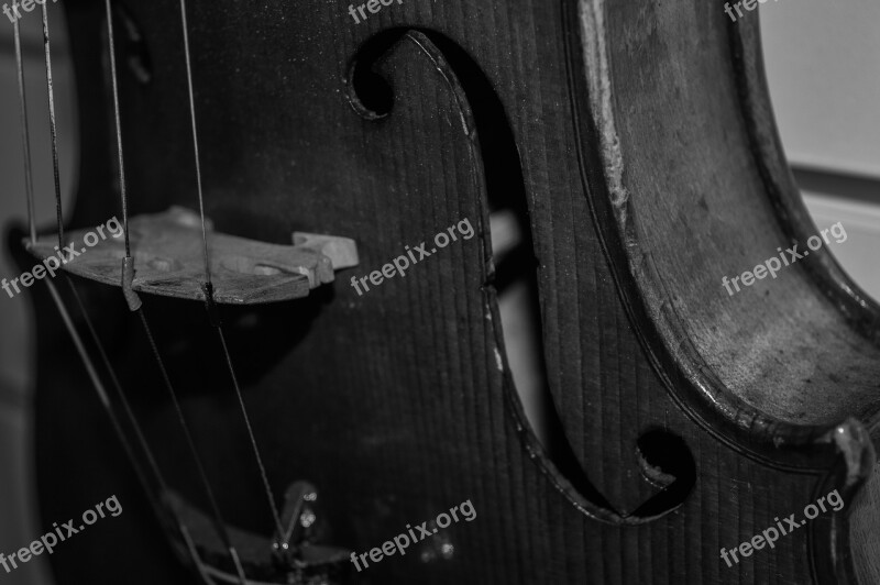 Violin Music String Instrument Close Up