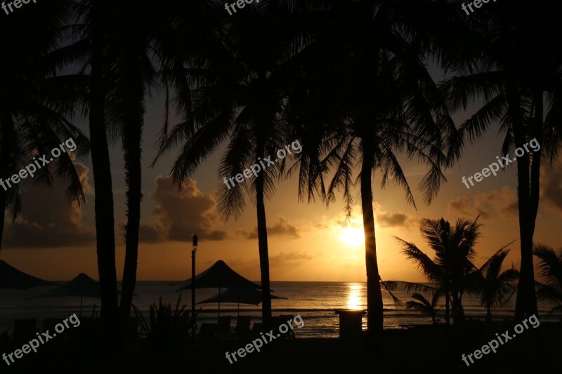 Sunset Beach Palm Tree Nature Free Photos