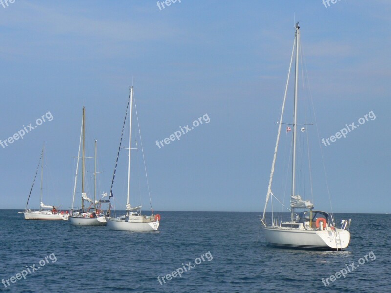 Sailing Sea Boat Brittany France