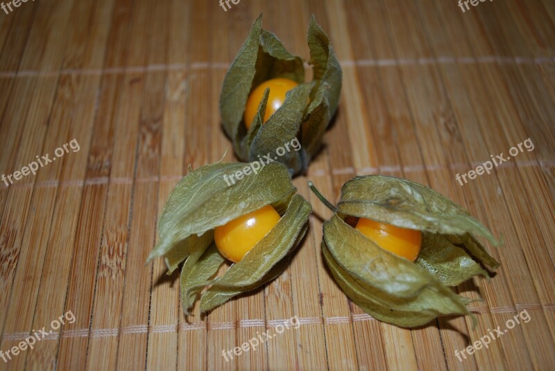 Three Opened Physalis Fruit Orange